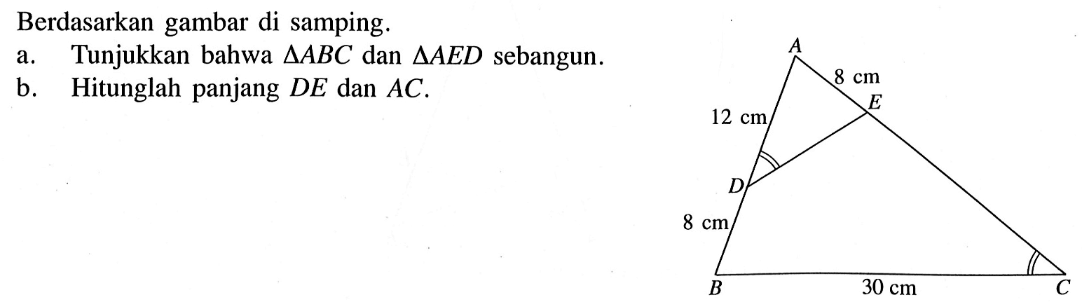 Berdasarkan gambar di samping. a. Tunjukkan bahwa segitiga ABC dan segitiga AED sebangun. b. Hitunglah panjang DE dan AC. 12 cm 8 cm 8 cm 30 cm