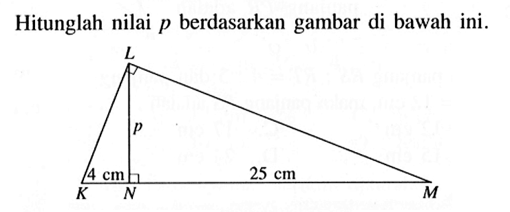 Hitunglah nilai p berdasarkan gambar di bawah ini. 4 cm 25 cm p