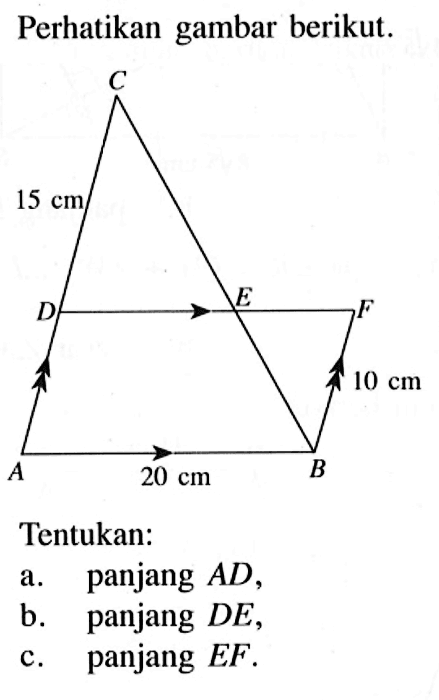 Perhatikan gambar berikut. C 15 cm D E F 10 cm A 20 cm B Tentukan:a. panjang AD,b. panjang DE,c. panjang EF.