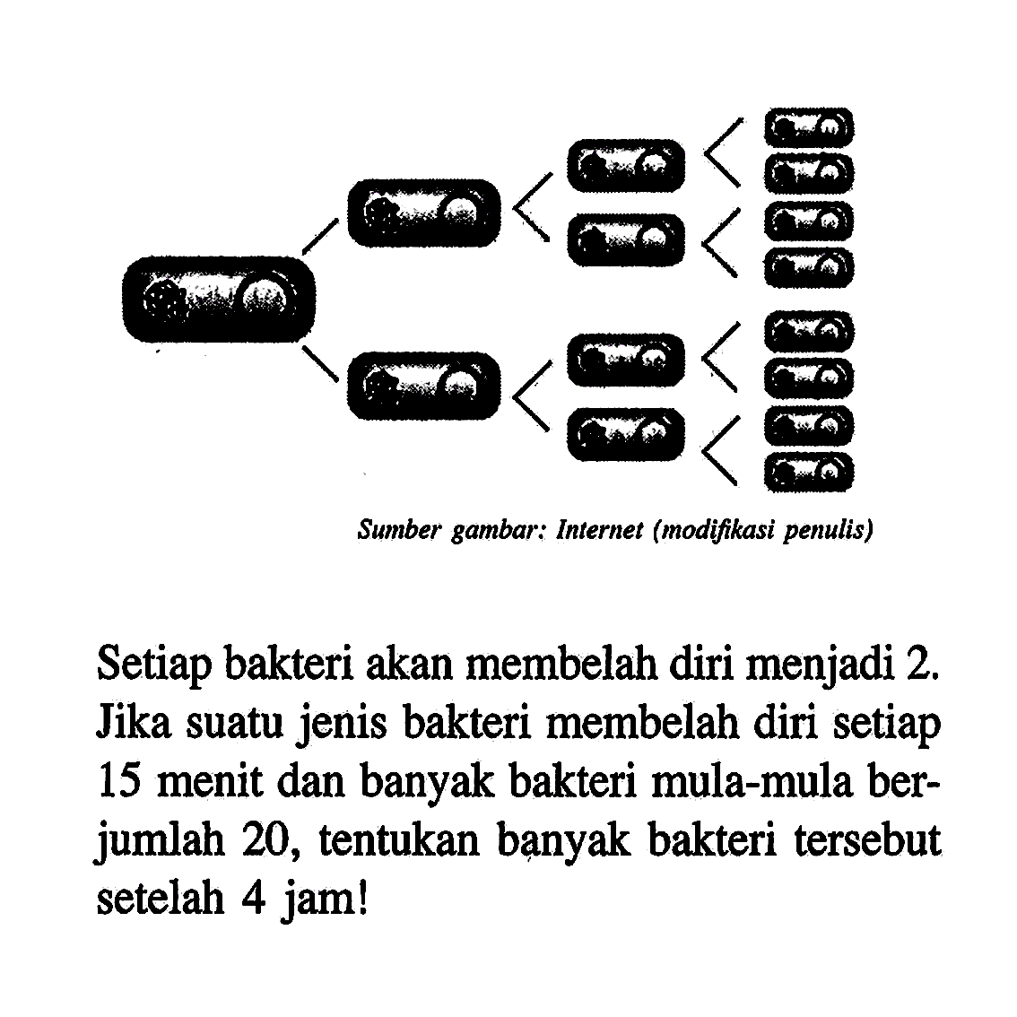 Setiap bakteri akan membelah diri menjadi 2. Jika suatu jenis bakteri membelah diri setiap 15 menit dan banyak bakteri mula-mula berjumlah 20, tentukan banyak bakteri tersebut setelah 4 jam!