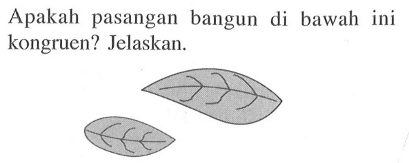 Apakah pasangan bangun di bawah ini kongruen? Jelaskan.