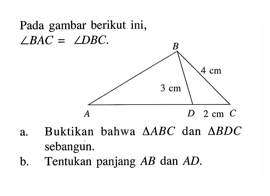 Pada gambar berikut ini,sudut B A C = sudut D B CB A D C 4 cm 3 cm 2 cma. Buktikan bahwa segitiga A B C dan segitiga B D C sebangun.b. Tentukan panjang A B dan A D.