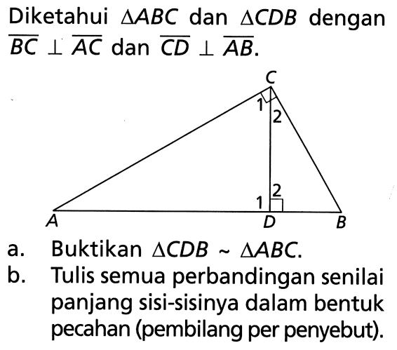 Diketahui segitiga ABC dan segitiga CDB dengan BC tegak lurus AC dan CD tegak lurus AB . C 1 2 2 1 A D B a. Buktikan segitiga CDB~segitiga ABC.b. Tulis semua perbandingan senilai panjang sisi-sisinya dalam bentuk pecahan (pembilang per penyebut).