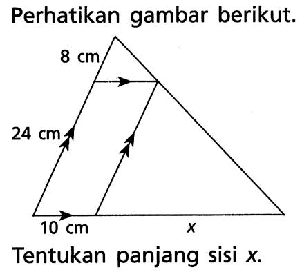 Perhatikan gambar berikut.Tentukan panjang sisi x.8 cm 24 cm 10 cm