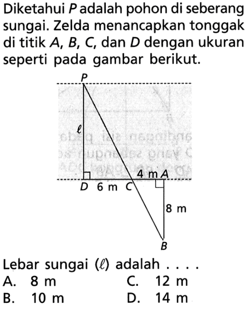 Diketahui P adalah pohon di seberang sungai. Zelda menancapkan tonggak di titik A, B, C, dan D dengan ukuran seperti pada gambar berikut. 6 m 4m 8 m Lebar sungai (l) adalah ...