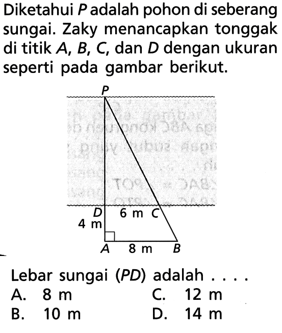 Diketahui  P  adalah pohon di seberang sungai. Zaky menancapkan tonggak di titik  A, B, C , dan  D  dengan ukuran seperti pada gambar berikut. A 4 m D 6 m C A 8 m B
Lebar sungai (PD) adalah ....
