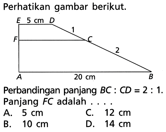 perhatikan gambar berikut. E 5 cm D F 1 C A 20 cm 2 B Perbandingan panjang BC:CD=2:1. Panjang FC adalah...