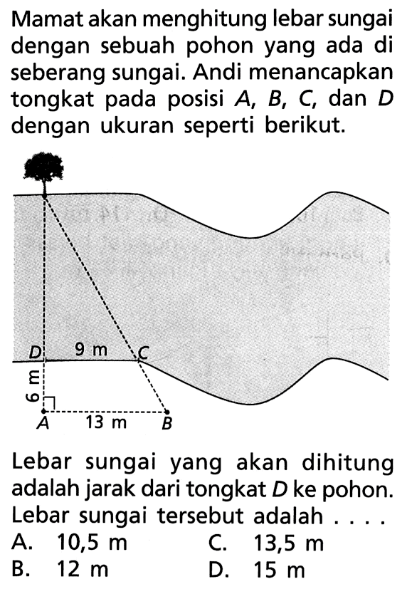 Mamat akan menghitung lebar sungai dengan sebuah pohon yang ada di seberang sungai. Andi menancapkan tongkat pada posisi  A, B, C, dan D dengan ukuran seperti berikut.Lebar sungai yang akan dihitung adalah jarak dari tongkat  D  ke pohon. Lebar sungai tersebut adalah ....