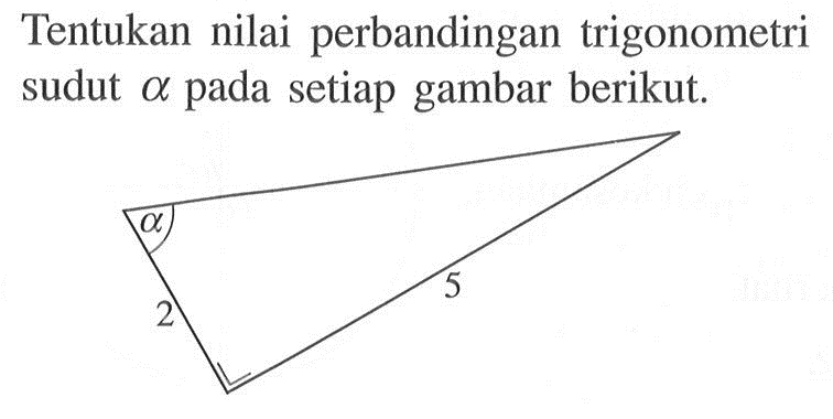 Tentukan nilai perbandingan trigonometri sudut alpha pada setiap gambar berikut alpha 2 5