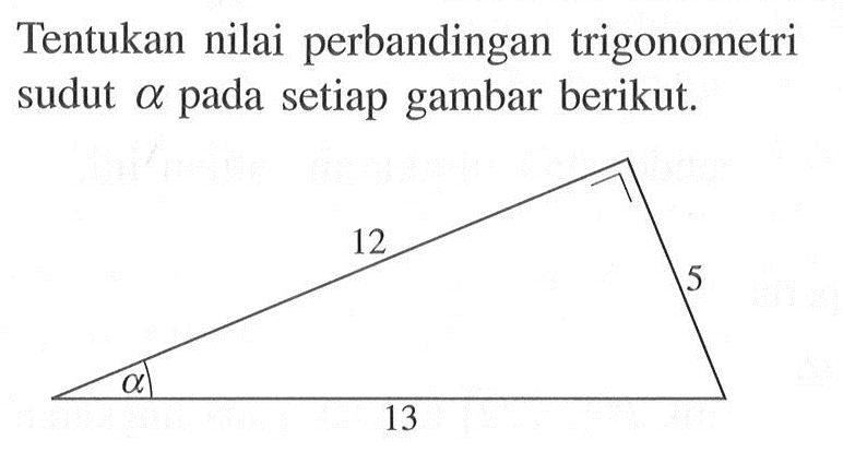 Tentukan nilai perbandingan trigonometri sudut alpha pada setiap gambar berikut. 12 5 alpha 13