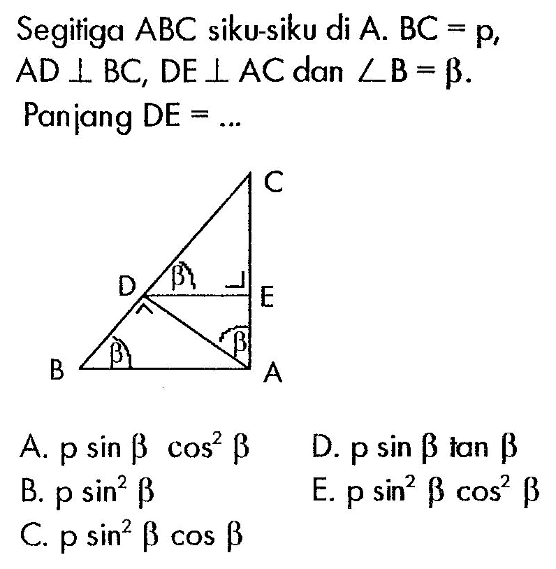 Segitiga ABC siku-siku di A. BC =p, AD tegak lurus BC, DE tegak lurus AC dan sudut B=beta. Panjang DE =... 