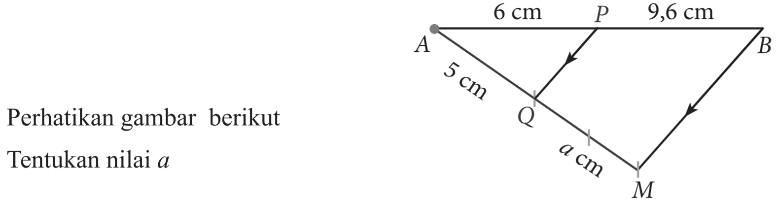 Perhatikan gambar berikut Tentukan nilai a A 6 cm P 9,6 cm B 5 cm Q a cm M 