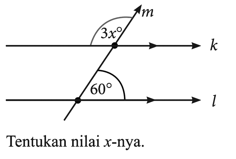 m 3x k 60 l Tentukan nilai  x -nya.