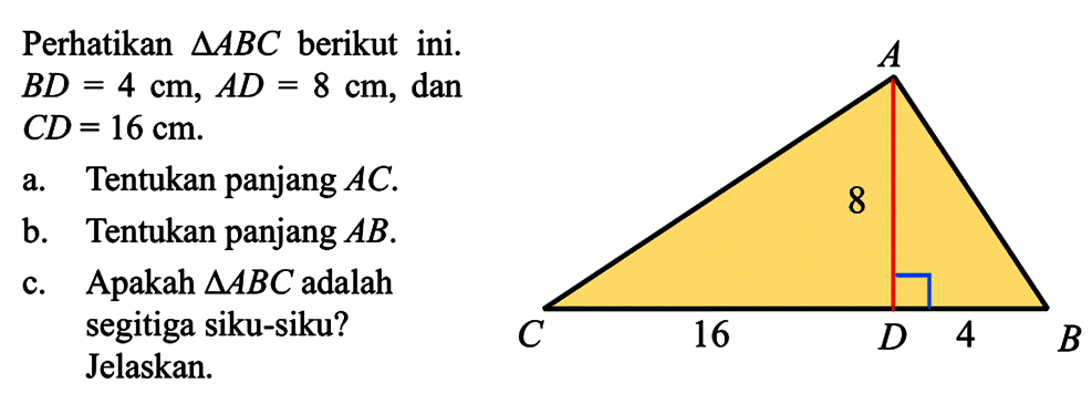 Perhatikan  segitiga ABC  berikutini. B D=4 cm, A D=8 cm , dan  C D=16 cm a. Tentukan panjang  AC .b. Tentukan panjang  AB .c. Apakah  segitiga ABC  adalah segitiga siku-siku? Jelaskan.