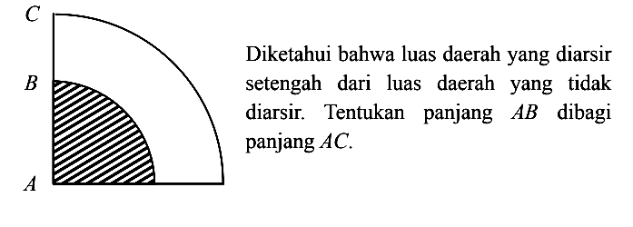 Diketahui bahwa luas daerah yang diarsir setengah dari luas daerah yang tidak diarsir. Tentukan panjang  AB  dibagi panjang  AC . C B A