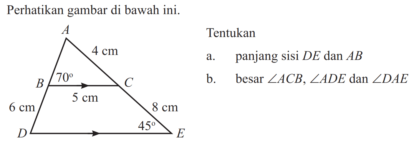 Perhatikan gambar di bawah ini. A 4 cm B 70 5 cm C 6 cm 8 cm D 45 E a. panjang sisi DE dan AB b. besar sudut ACB, sudut ADE dan sudut DAE 