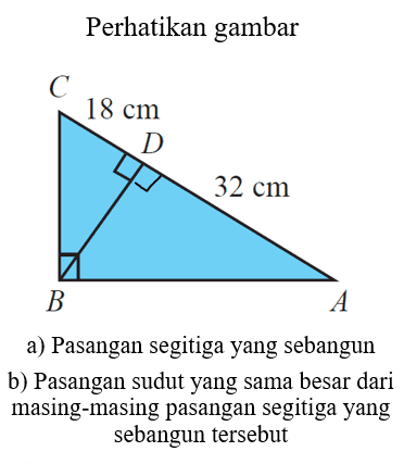 Perhatikan gambar 18 cm 32 cma) Pasangan segitiga yang sebangunb) Pasangan sudut yang sama besar dari masing-masing pasangan segitiga yang sebangun tersebut