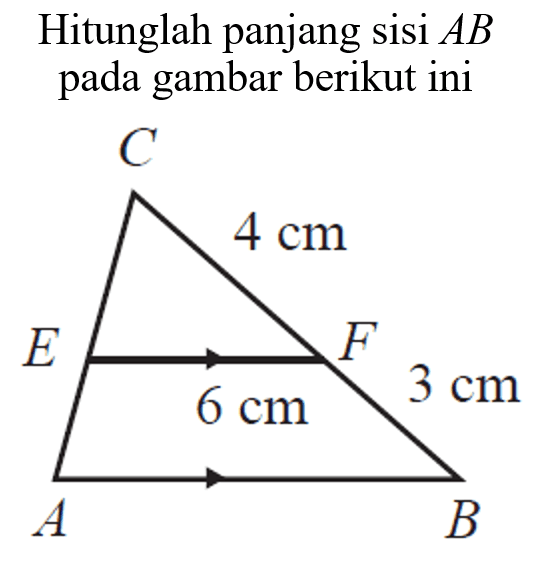 Hitunglah panjang sisi  AB  pada gambar berikut ini C 4 cm E F 6 cm 3 cm A B 