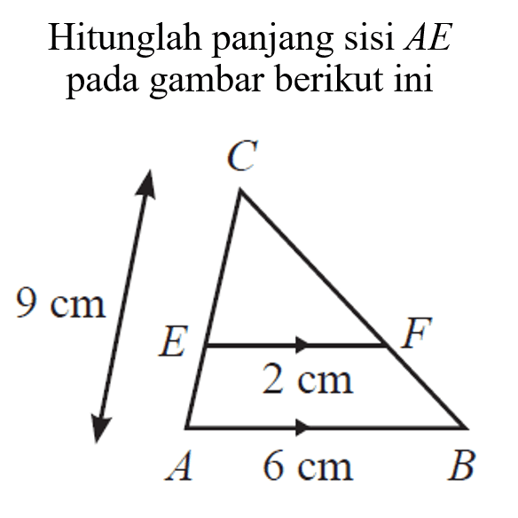 Hitunglah panjang sisi AE pada gambar berikut ini C E F A B 9 cm 2 cm 6 cm