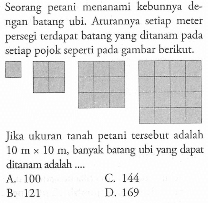 Seorang petani menanami kebunnya dengan batang ubi. Aturannya setiap meter persegi terdapat batang yang ditanam pada setiap pojok seperti pada gambar berikut. Jika ukuran tanah petani tersebut adalah 10 m x 10 m, banyak batang ubi yang dapat ditanam adalah .... A. 100 B. 121 C.144 D. 169