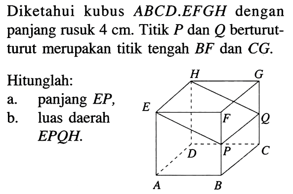 Diketahui kubus  ABC D . EFGH dengan panjang rusuk 4 cm . Titik P dan Q  berturut-turut merupakan titik tengah BF dan CG .Hitunglah:a. panjang EP ,b. luas daerah  EPQH . 