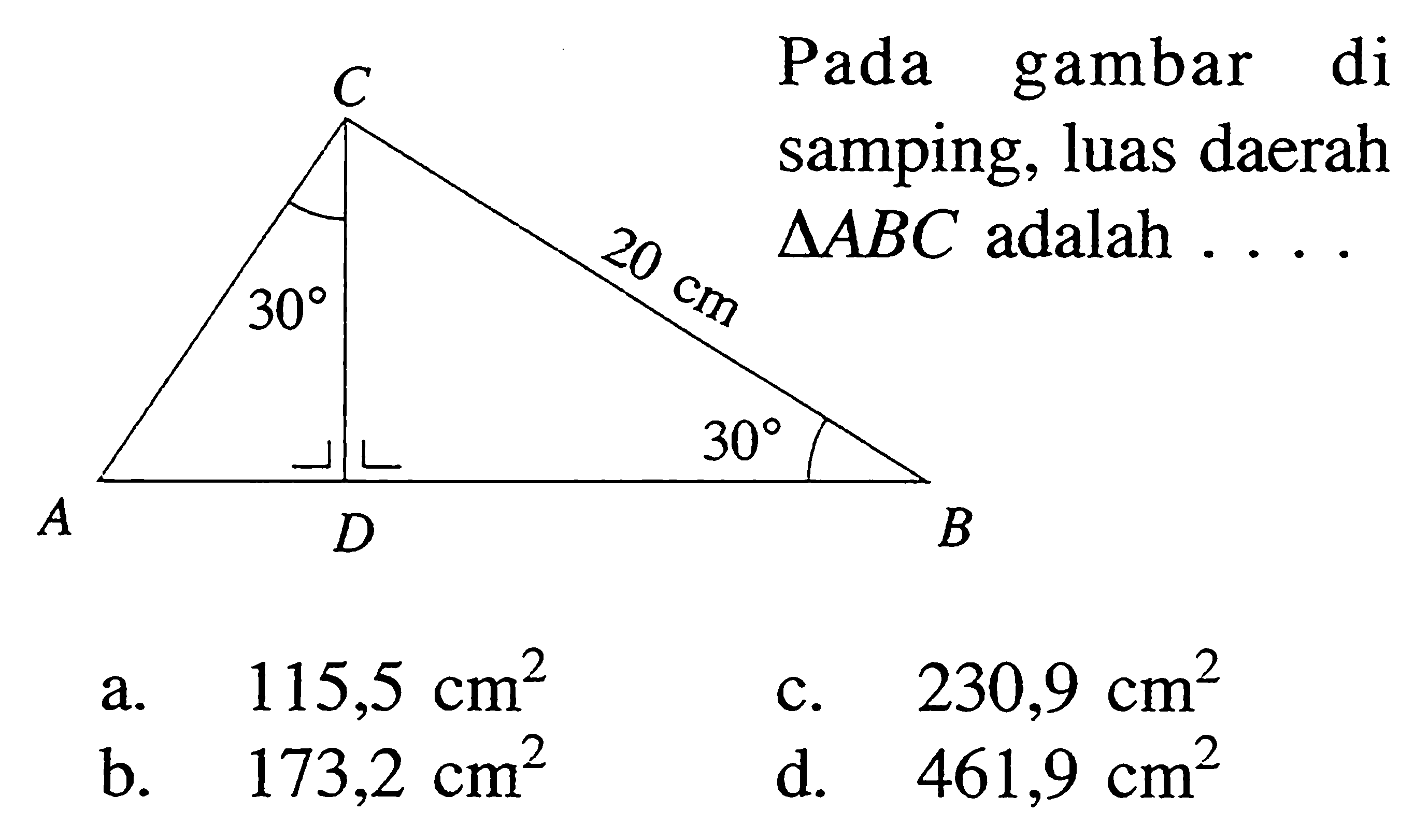 C 20 cm 30 30 A D B  Pada gambar di samping, luas daerah segitiga ABC adalah ....