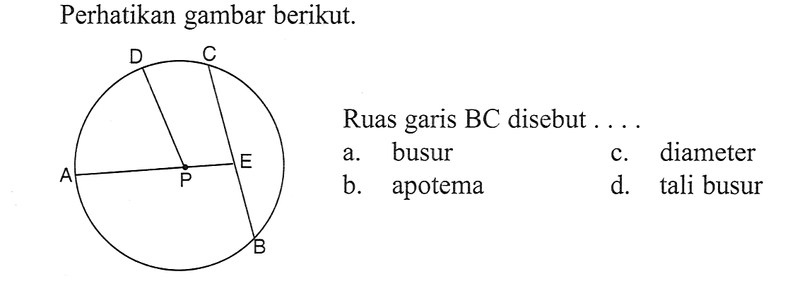 Perhatikan gambar berikut. D C A P E B. Ruas garis  BC  disebut ....