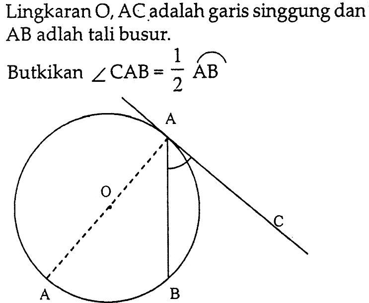 Lingkaran O, AC adalah garis singgung dan AB adalah tali busur. Butkikan sudut CAB=1/2 busur A B A B C A O 