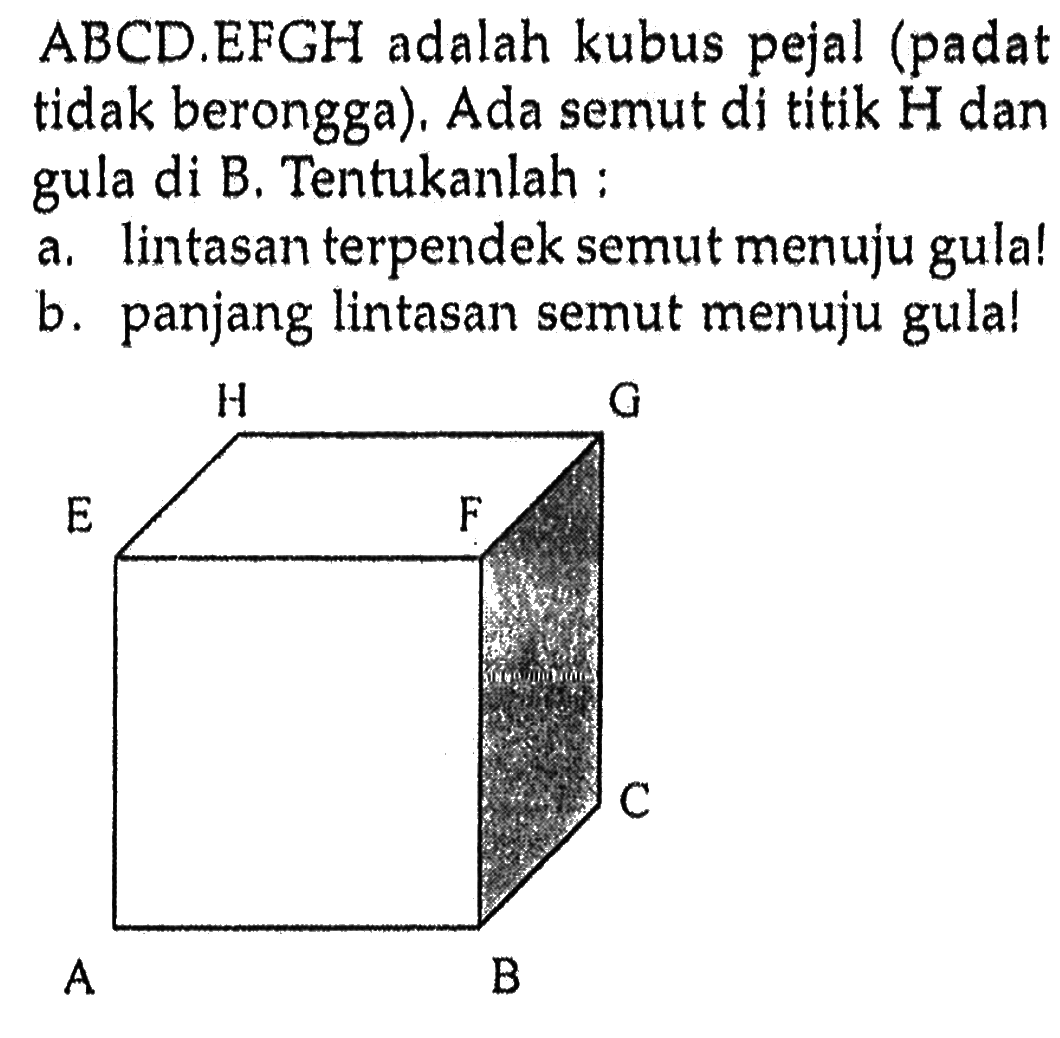 ABCD.EFGH adalah kubus pejal (padat tidak berongga). Ada semut di titik H dan gula di B. Tentukanlah :
a. lintasan terpendek semut menuju gula!
b. panjang lintasan semut menuju gula!
ABCDEFGH