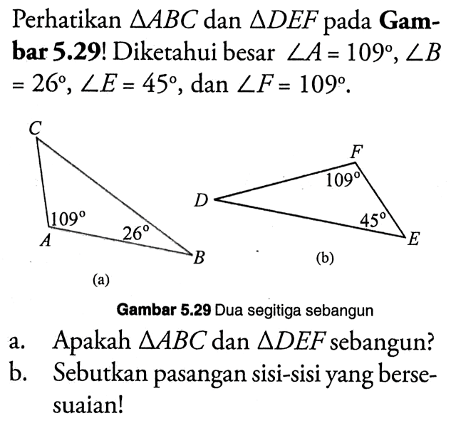 Perhatikan  segitiga ABC dan segitiga DEF pada Gambar 5.29! Diketahui besar sudut A=109, sudut B=26, sudut E=45 , dan sudut F=109. a. Apakah segitiga ABC dan segitiga DEF sebangun?b. Sebutkan pasangan sisi-sisi yang bersesuaian!