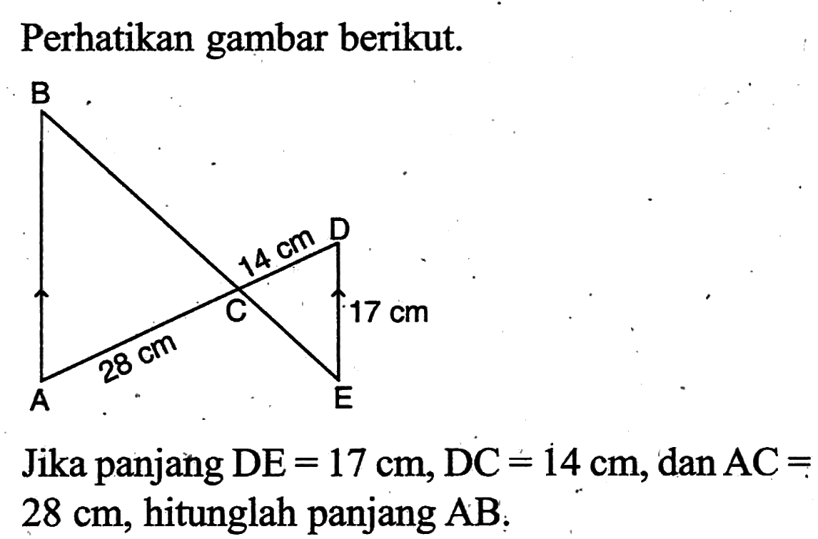 Perhatikan gambar berikut.B14 cm DC 17 cmA 28 cm E
Jika panjang DE=17 cm, DC=14 cm, dan AC=28 cm, hitunglah panjang  AB