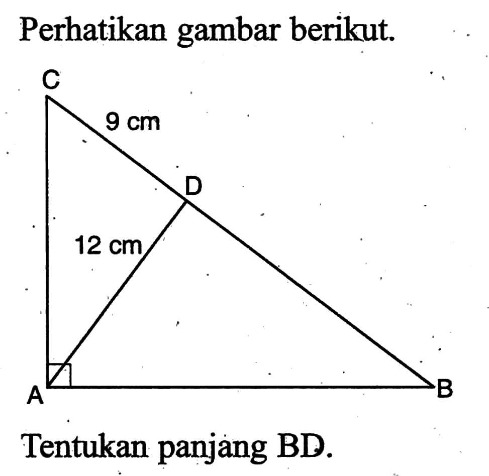 Perhatikan gambar berikut.Tentukan panjang BD.