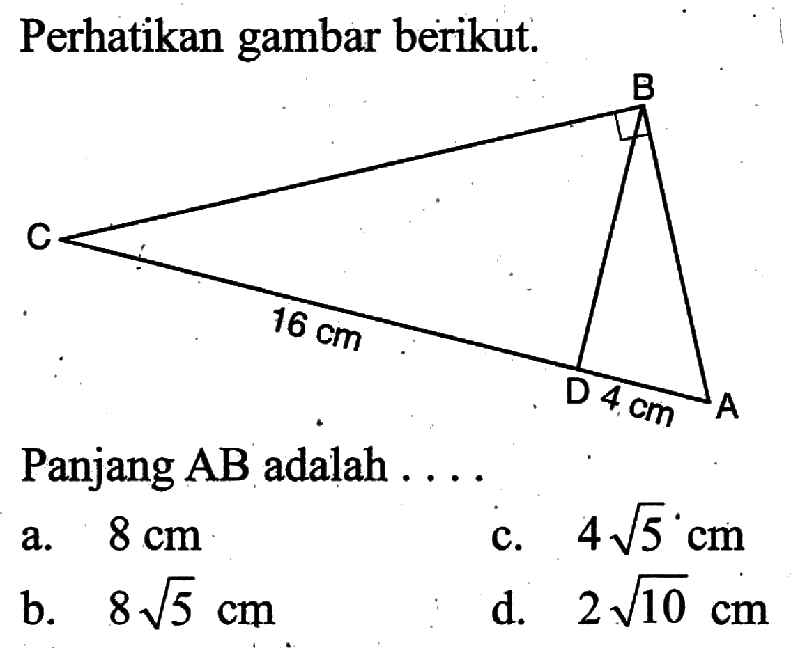 Perhatikan gambar berikut. 16 cm 4 cm
Panjang  AB  adalah ....
