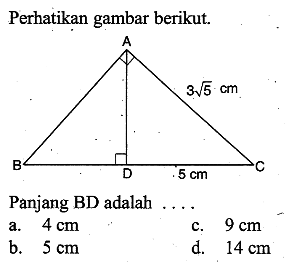 Perhatikan gambar berikut. A 3 akar(5) cm B D 5 cm C Panjang BD adalah .... a. 4 cm b. 5 cm c. 9 cm d. 14 cm