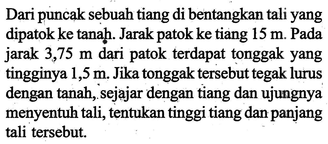 Dari puncak sebuah tiang di bentangkan tali yang dipatok ke tanạ. Jarak patok ke tiang  15 m. Pada jarak 3,75 m dari patok terdapat tonggak yang tingginya 1,5 m. Jika tonggak tersebut tegak lurus dengan tanah, sejajar dengan tiang dan ujungnya menyentuh tali, tentukan tinggi tiang dan panjang tali tersebut. 