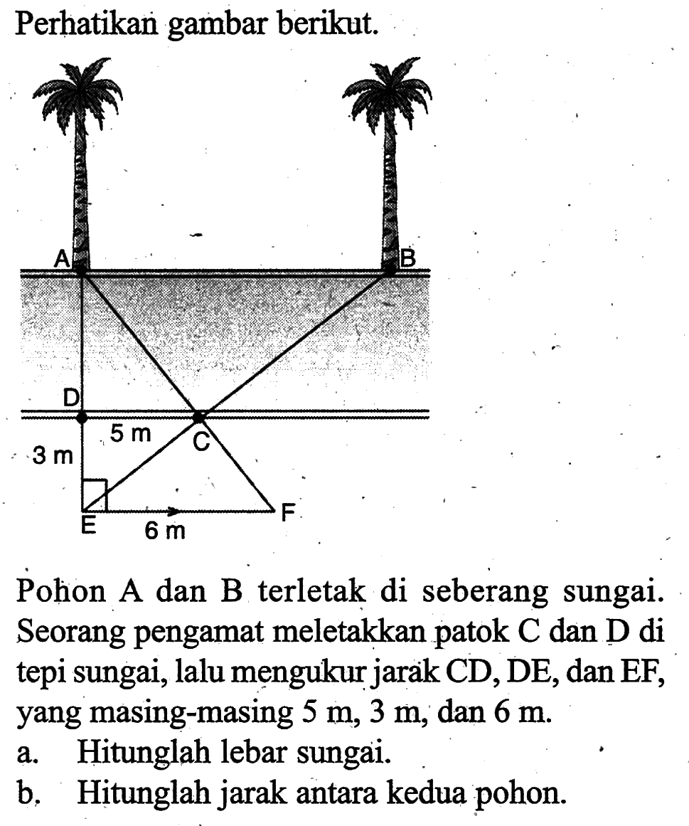 Perhatikan gambar berikut.A B C D E F 3 m 5 m 6 mPohon A dan B terletak di seberang sungai. Seorang pengamat meletakkan patok C dan D di tepi sungai, lalu mengukur jarak CD, DE, dan EF, yang masing-masing  5 m, 3 m, dan 6 m.a. Hitunglah lebar sungai.b. Hitunglah jarak antara kedua pohon.