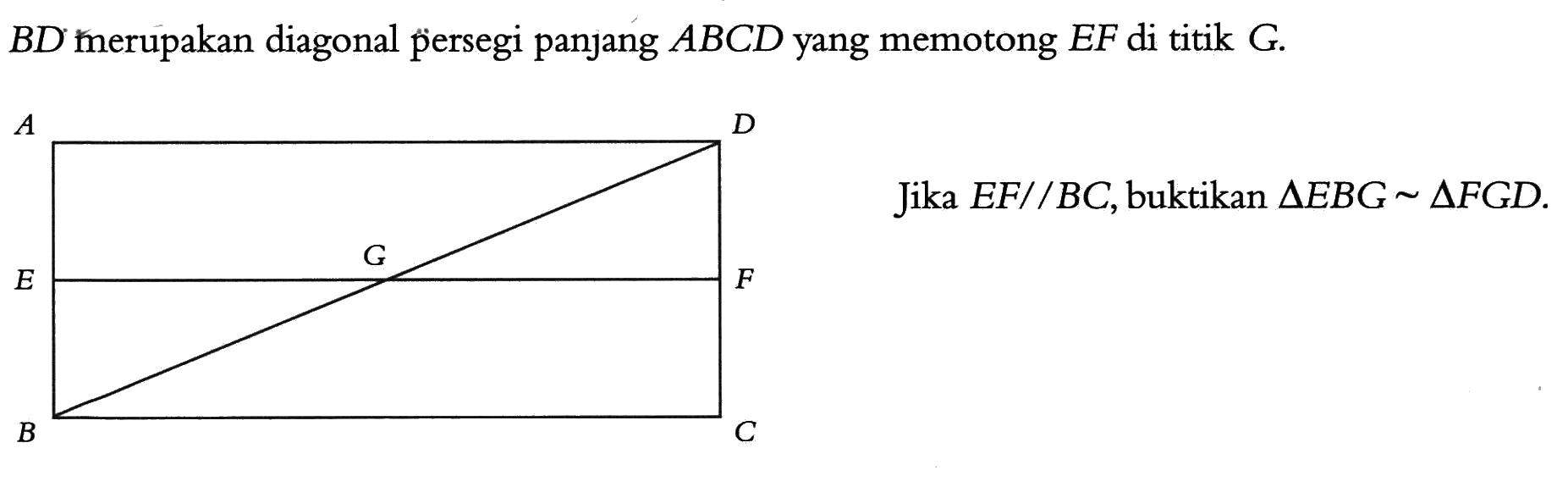  B D  merupakan diagonal persegi panjang  ABCD  yang memotong  E F  di titik  G .Jika  E F// BC , buktikan  segitiga E B G ~ segitiga F G D .