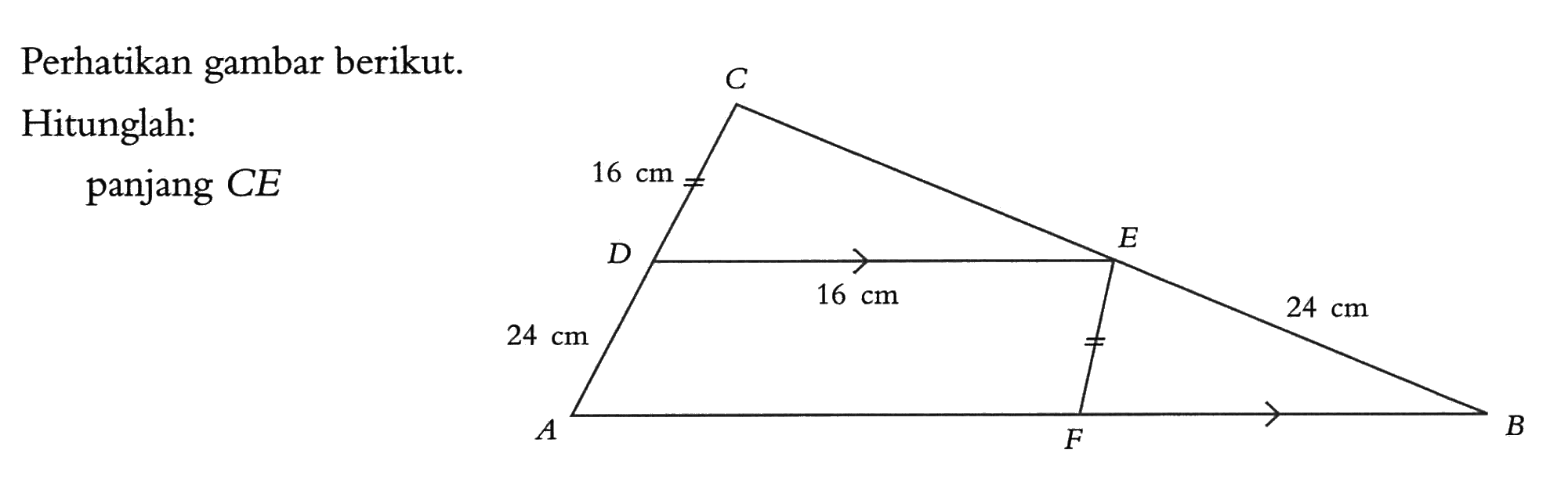 Perhatikan gambar berikut. C 16 cm D 16 cm B 24 cm 24 cm A F B Hitunglah: panjang CE