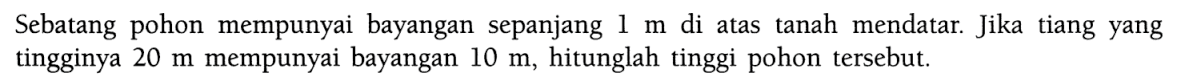 Sebatang pohon mempunyai bayangan sepanjang  1 m  di atas tanah mendatar. Jika tiang yang tingginya  20 m  mempunyai bayangan  10 m , hitunglah tinggi pohon  tersebut.