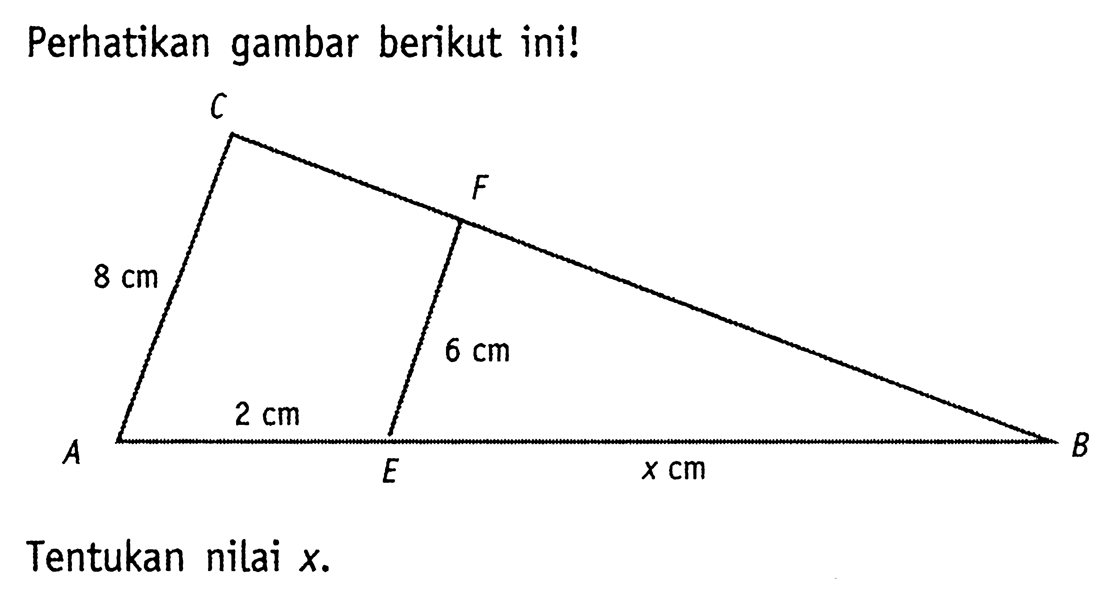 Perhatikan gambar berikut ini!C F 8 cm 6 cm A 2 cm E x cm BTentukan nilai  x .