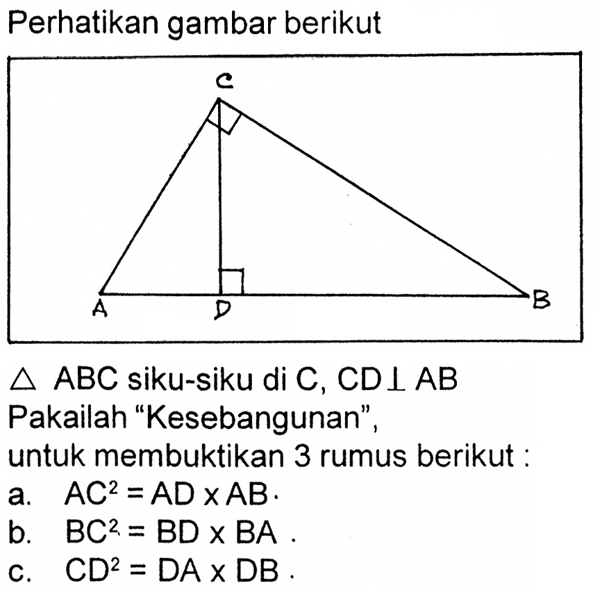 Perhatikan gambar berikut C A D B  segitiga ABC  siku-siku di  C, CD tegak lurus AB Pakailah 'Kesebangunan',untuk membuktikan 3 rumus berikut :a.  AC^2=AD x AB .b.  BC^2=BD x BA .c.   CD^2=DA x DB .