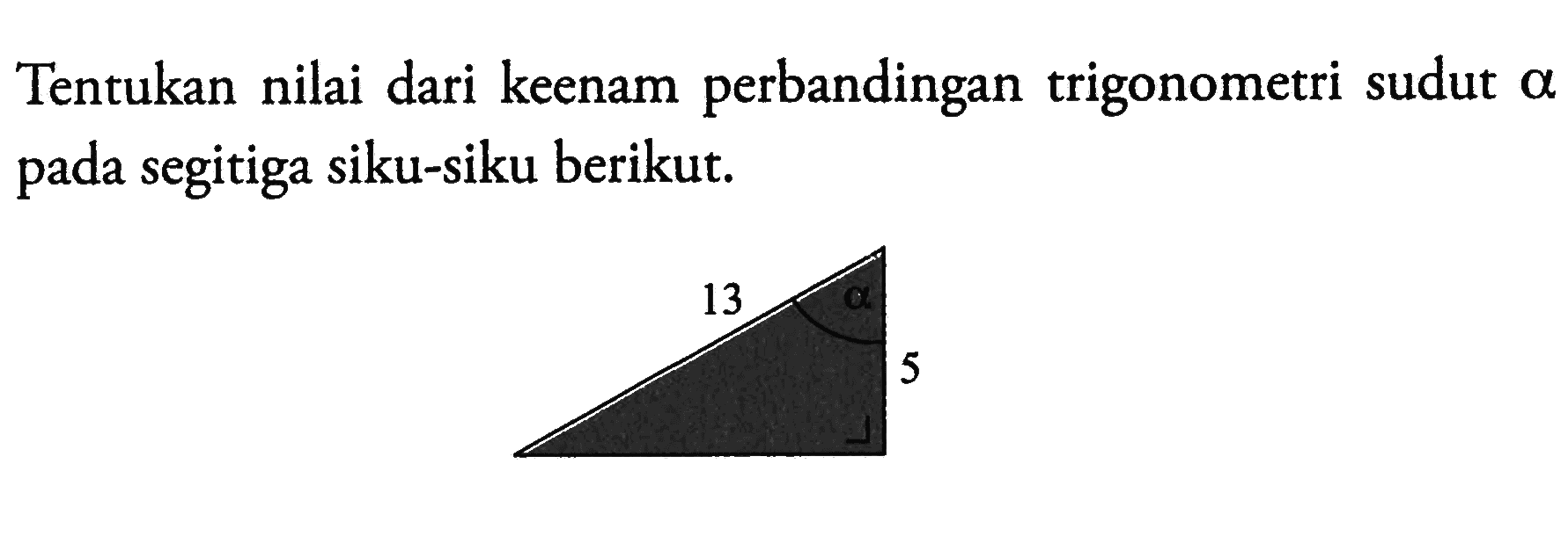 Tentukan nilai dari keenam perbandingan trigonometri sudut alpha pada segitiga siku-siku berikut. 13 5