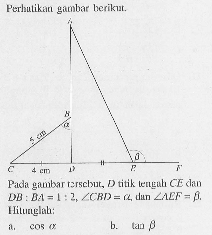 Perhatikan gambar berikut. B a 5 cm C 4 cm D b E F Pada gambar tersebut, D titik tengah CE dan DB : BA = 1 : 2, sudut CBD=a, dan sudut AEF=b, Hitunglah: a. cos a b. tan b