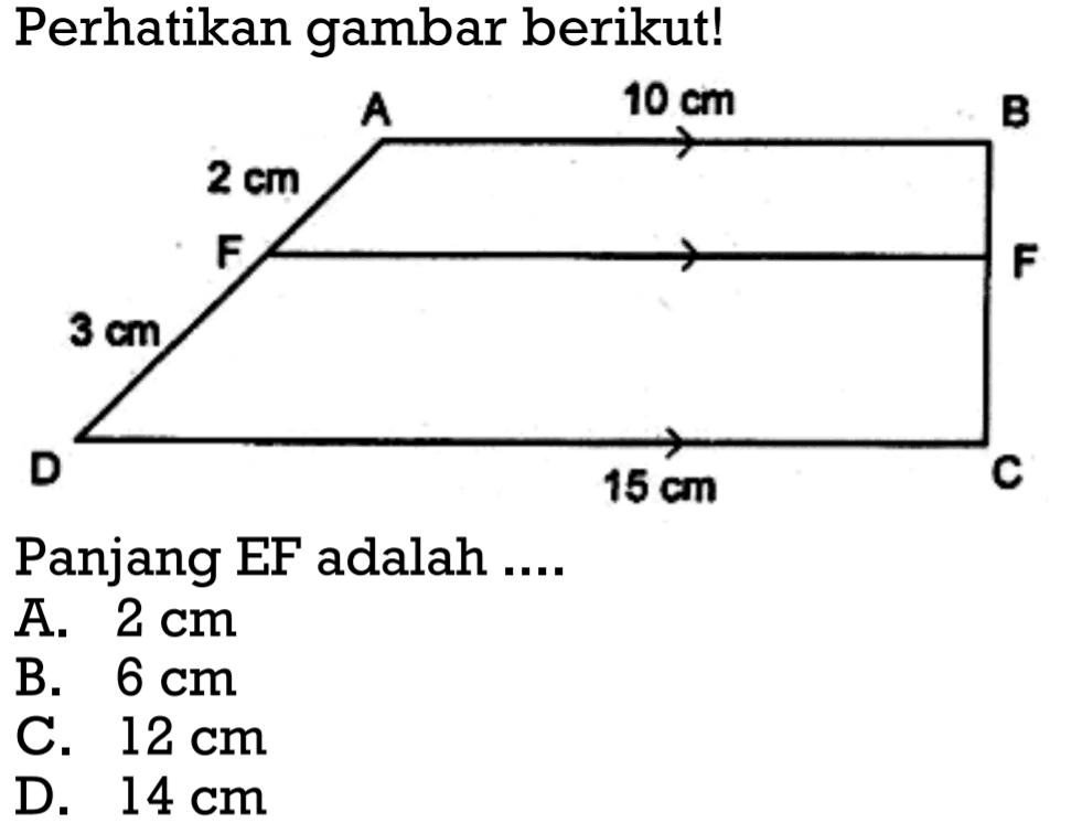 Perikan gambar berikut!Panjang EF adalah .... A. 2 cm B. 6 cm C. 12 cm D. 14 cm