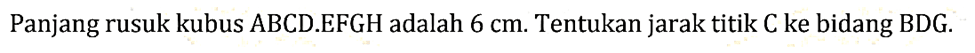 Panjang rusuk kubus ABCDEFGH adalah 6 cm. Tentukan jarak titik Cke bidang BDG