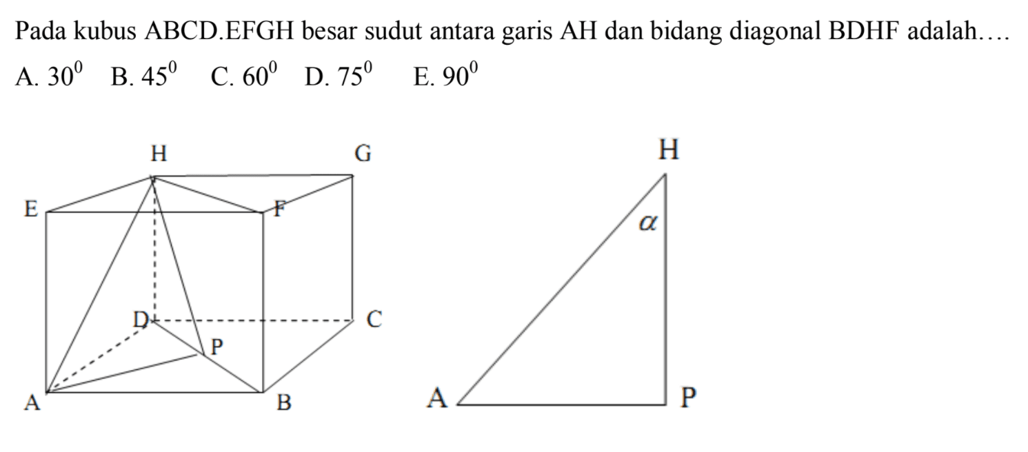 Pada kubus ABCD.EFGH besar sudut antara garis AH dan bidang diagonal BDHF adalah .....