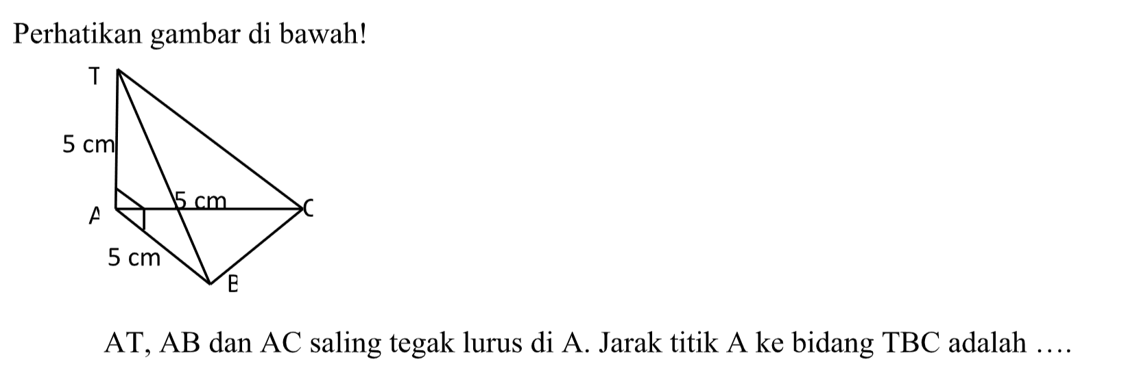 Perhatikan gambar di bawah! AT, AB dan AC saling tegak lurus di A. Jarak titik A ke bidang TBC adalah....