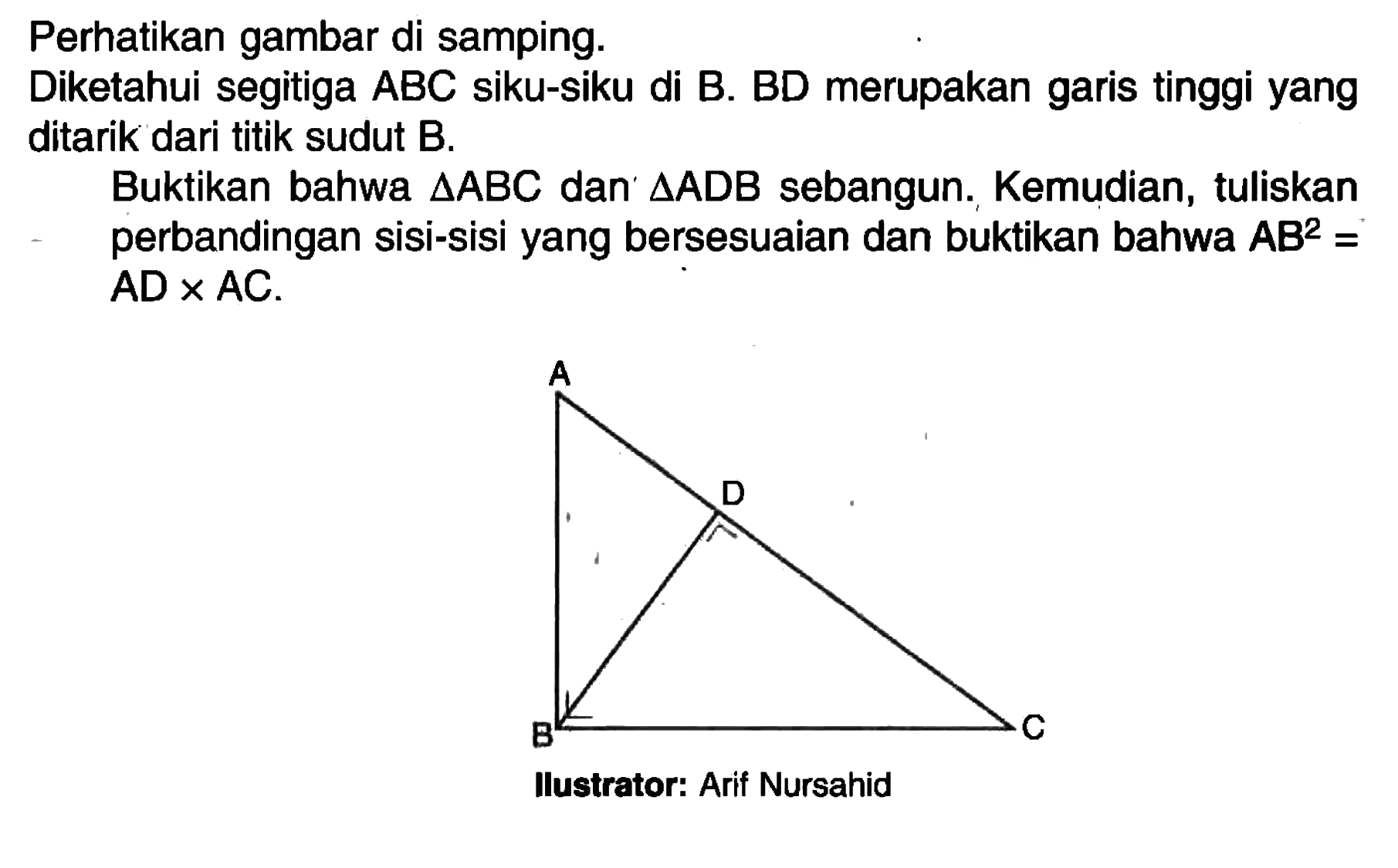 Perhatikan gambar di samping. Diketahui segitiga ABC siku-siku di B. BD merupakan garis tinggi yang ditarik dari titik sudut B. Buktikan bahwa segitiga ABC dan segitiga ADB sebangun. Kemudian, tuliskan perbandingan sisi-sisi yang bersesuaian dan buktikan bahwa  AB^2= ADxAC. Ilustrator: Arif Nursahid