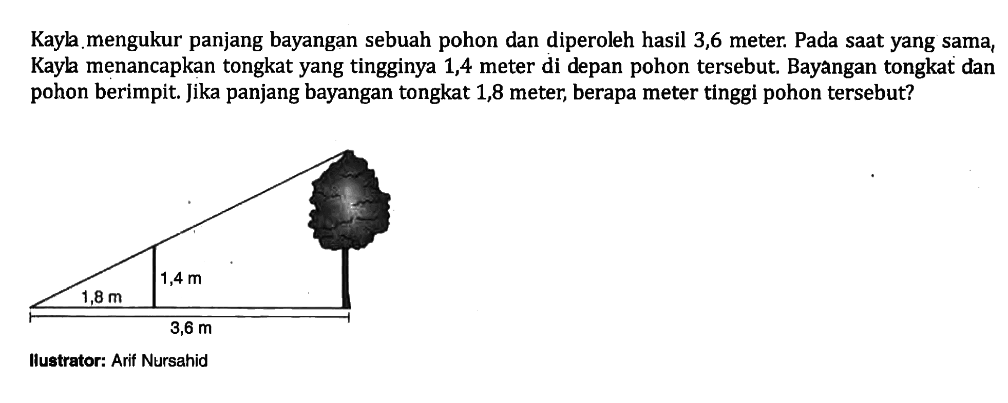 Kayla mengukur panjang bayangan sebuah pohon dan diperoleh hasil 3,6 meter. Pada saat yang sama, Kayla menancapkan tongkat yang tingginya 1,4 meter di depan pohon tersebut. Bayangan tongkat dan pohon berimpit. Jika panjang bayangan tongkat 1,8 meter, berapa meter tinggi pohon tersebut? 1,8 m 1,4 m 3,6 m Ilustrator: Arif Nursahid