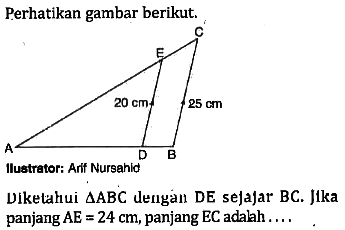 Perhatikan gambar berikut.Ilustrator: Arif NursahidDiketahui  segitiga ABC  dengan DE sejajar BC. Jika panjang AE=24 cm, panjang EC adalah .... 20 cm 25 cm A B C D E